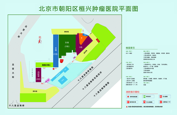 老外屌逼性视频北京市朝阳区桓兴肿瘤医院平面图